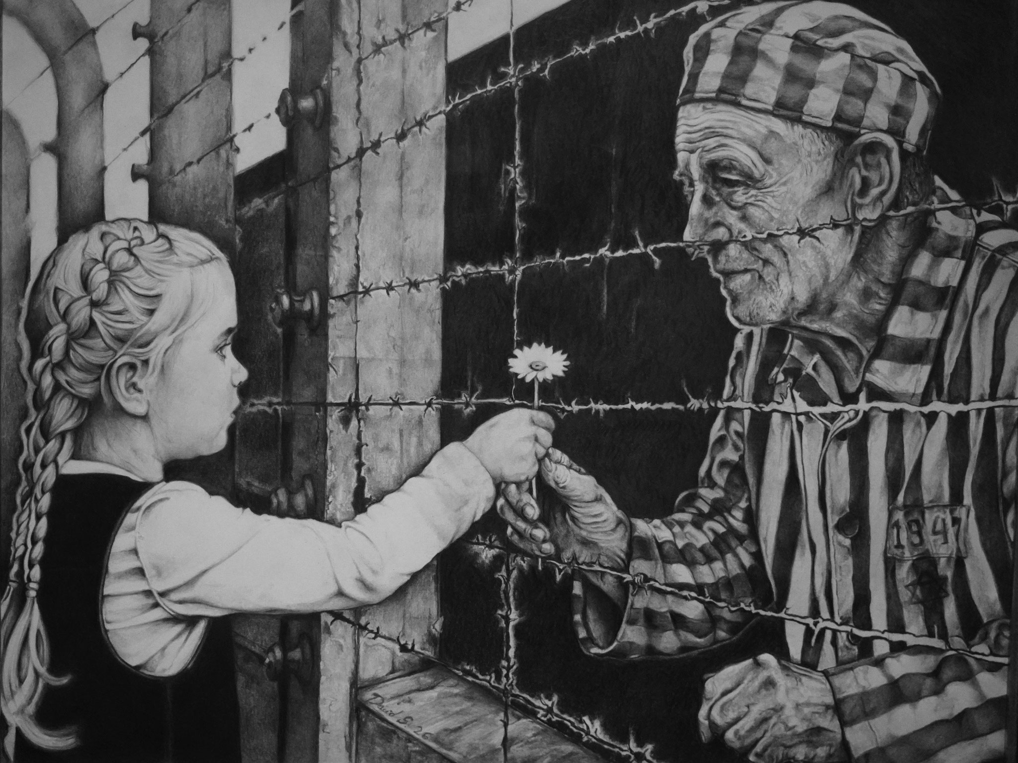 Shake Off The Demon, graphite drawing by David Schure depicting a child offering a flower to a Jewish prisoner across barbed wire